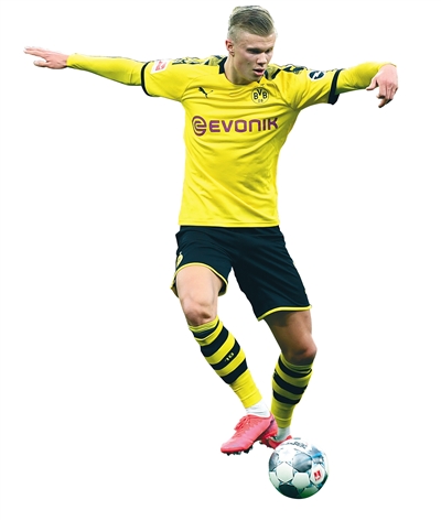 可交易的薪 可交易的薪